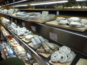 Cheese display in the cheese shop