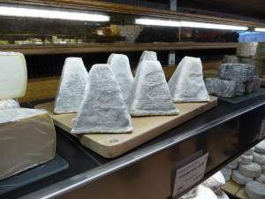 The white on this cheese is mold...fluffy, fluffy mold.  If you look closely, you can see fingerprint indentations in the mold from the guy who placed it on this display board.