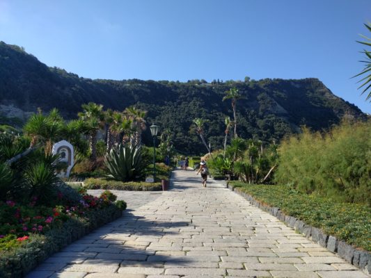 The main boardwalk of the park