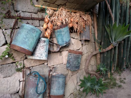 A fun watering can display