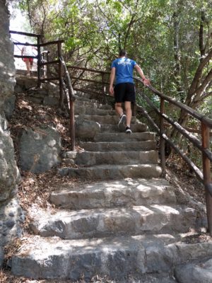 A path in the park