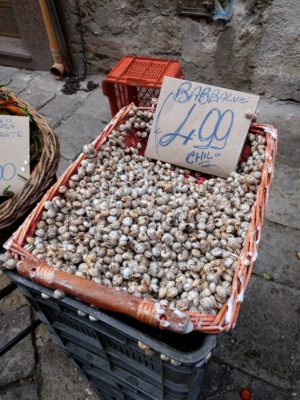 Snails for sale - some of them are making a break for freedom, albeit very slowly