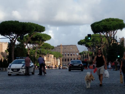 View of the coliseum from Via dei Fori Imperiali