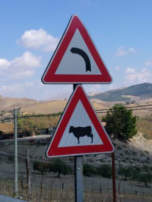 There's a curve in the road and, by the way, watch for cows