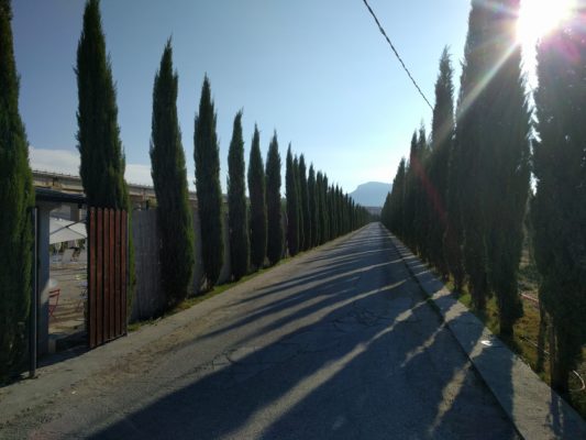 Driveway to the agriturismo