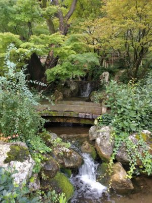 In the Japanese gardens