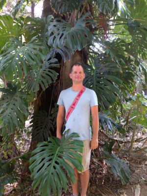 Giant leaves