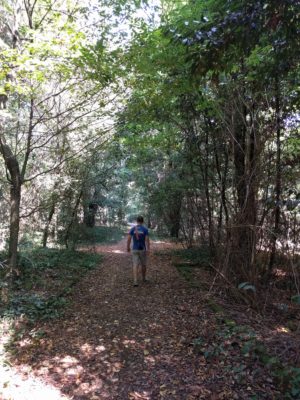 One of the trails in the park at the top of the city