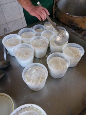 Ladling the cooked cheese into strainers where it will settle and drain