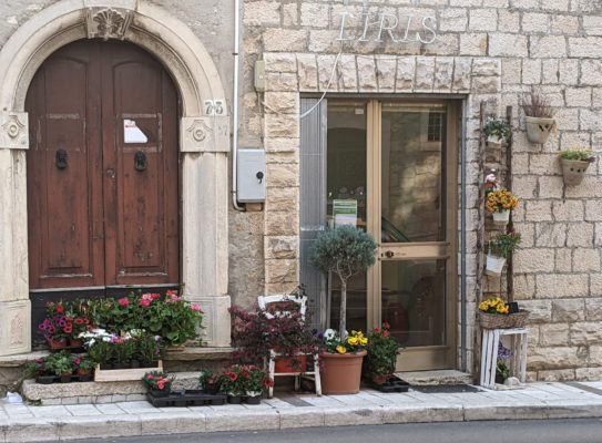 The flower shop next door to our apartment