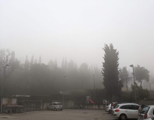 view of the grocery store parking lot up in the clouds - it looks like fog, but we were actually in the clouds