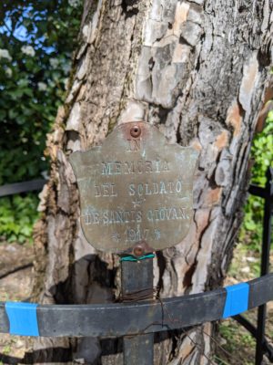 This tree is dedicated to Soldato (soldier) Giovani de Santis who died in 1917