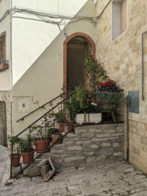 Many houses have potted plants decorating their entrances - which reminds me, I need to make some purchases at the floral shop to decorate our balconies