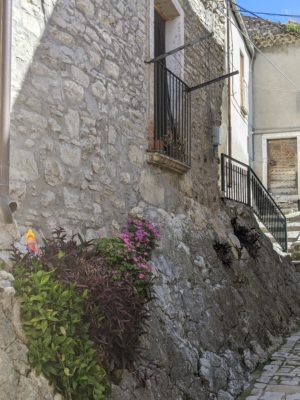 And here's a closer view of the rock foundations, and someone has created little plant gardens as well