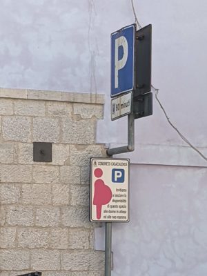 across the street from the home goods shop was a dedicated parking spot which was reserved for pregnant women and new mothers