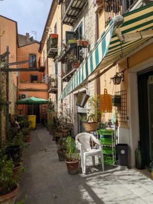 we found a little home goods shop which was using the alley as retail space to exhibit plants for sale - the entrance to the shop is under the striped awning