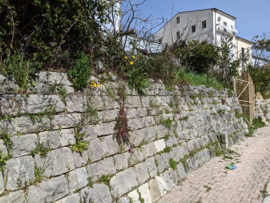 I like the weeds and flowers growing out of this retaining wall