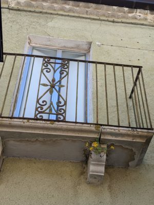 I noticed these little flowers growing out of a structural support under a balcony