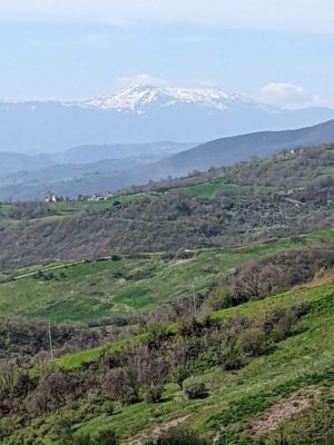 view from the road - note the snow-capped mountains in the distance