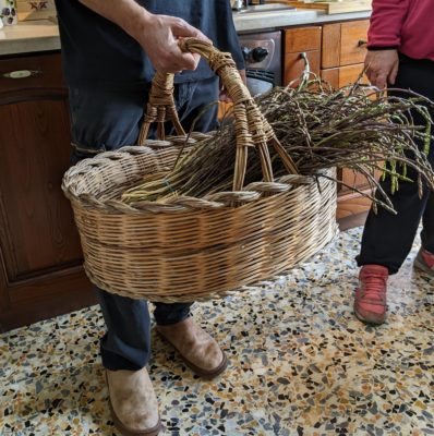 Antonino went foraging for wild asparagus this morning