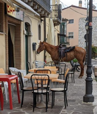 in case you forget that we are in a rural, agricultural area, someone rode their horse to the bar