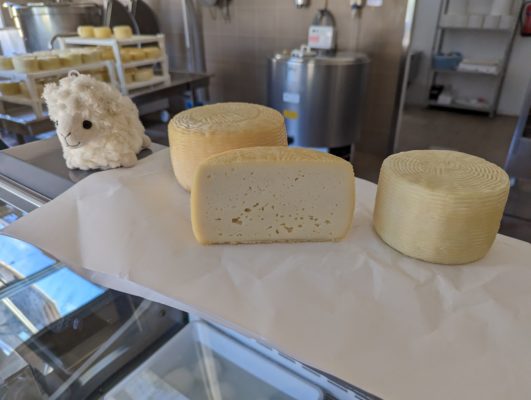 cheese displayed on the counter for us