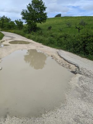 We got out of the car to check the depth of this puddle in the middle of the road before continuing with our drive