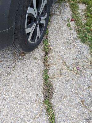 there's grass growing in cracks in the road because the road isn't used that much