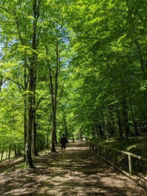 a hiking trail