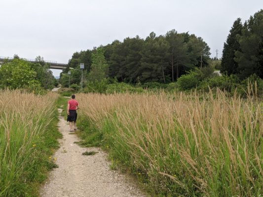 walking on the old road at the lake - the national highway bridge is up ahead