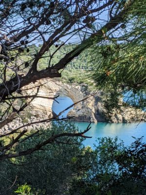 the limestone arch, as seen through trees