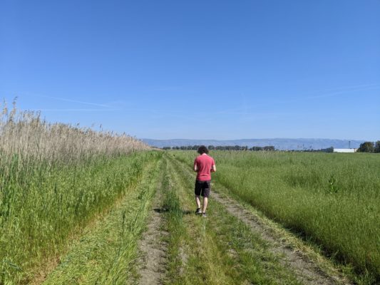 well, we walked through some agricultural fields