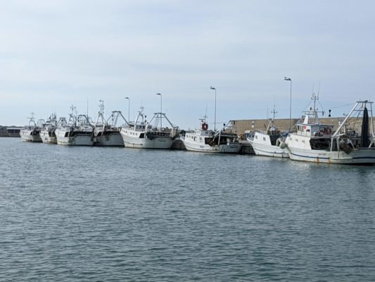 fishing boats in the marina