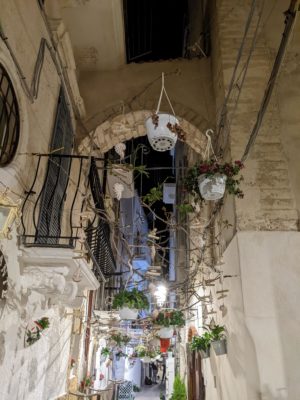 a side street in the old town with hanging plants for decoration