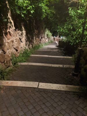 steps up the hill to the restaurant